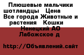 Плюшевые мальчики шотландцы › Цена ­ 500 - Все города Животные и растения » Кошки   . Ненецкий АО,Лабожское д.